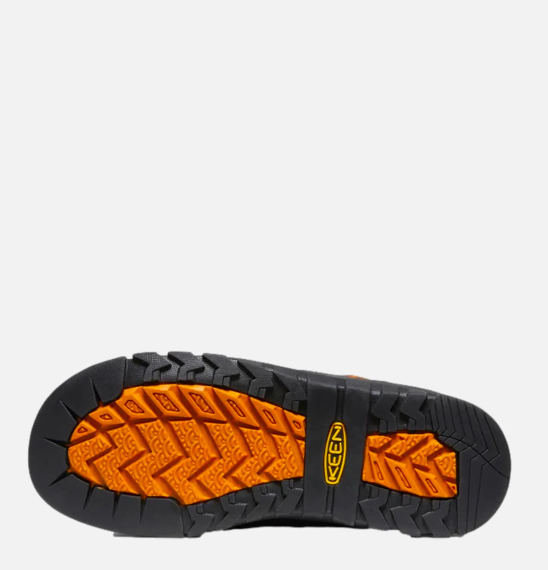 Jasper Rocks Sp Sky Captain Curry